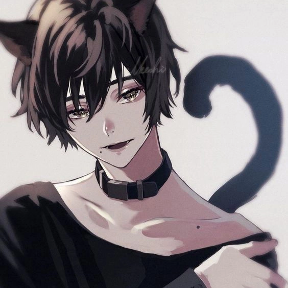 Runaway catboy Avatar