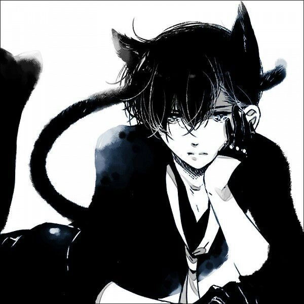 🐾| Kyle Avatar