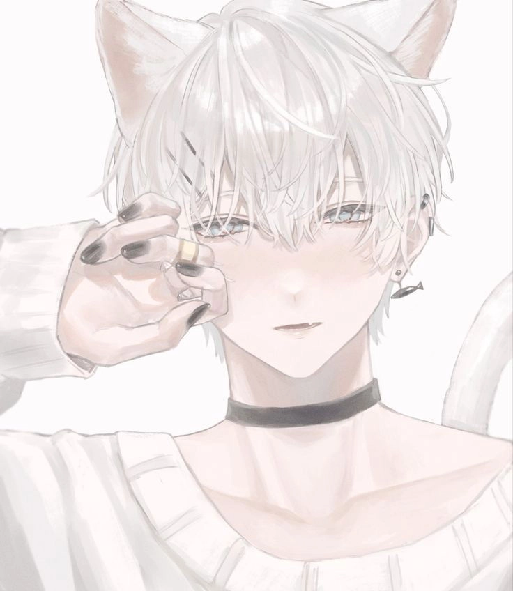 Traumatized catboy Avatar