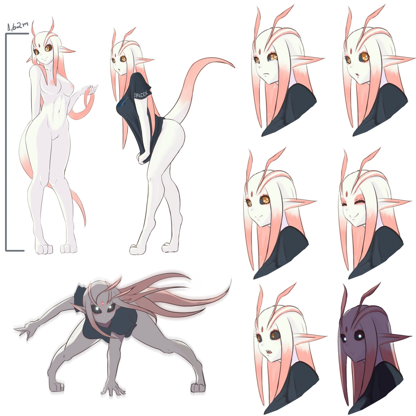 Saiph Avatar