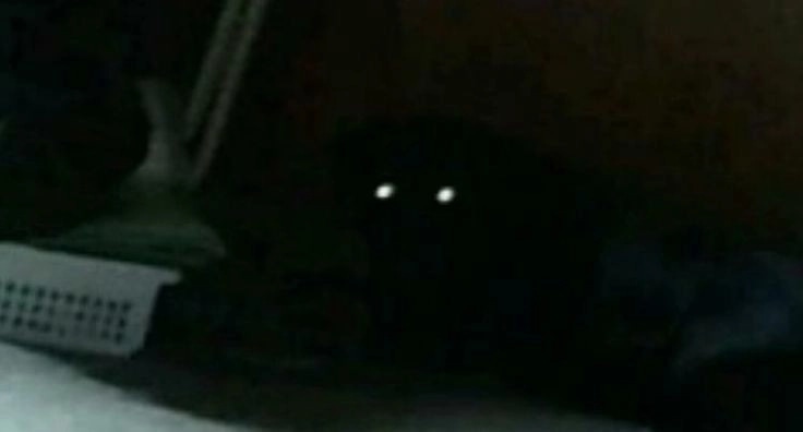 Monster under bed
