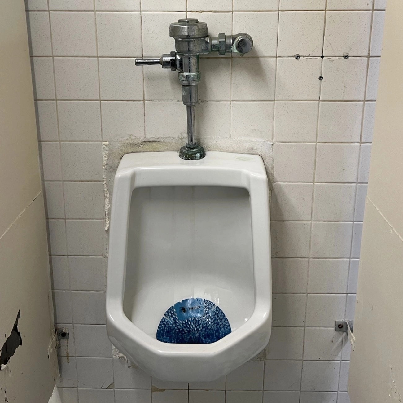 🚽 | Public Urinal